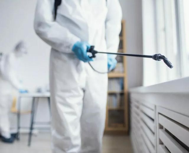 Technicien Bio Traitement en intervention de dératisation à Paris (75)